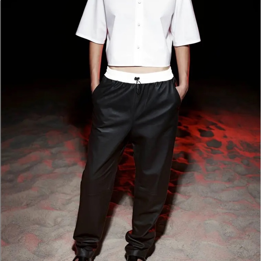 FINAL.Alexander Wang Drawstring Leather Track Pant